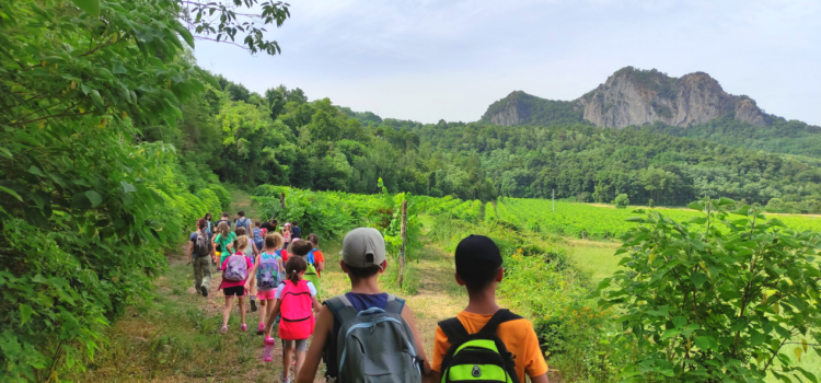 passeggiata ragazzi con sfondo rocca pendice